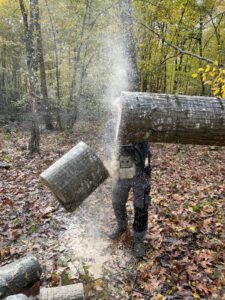 ressource bois des forêts de Buxy